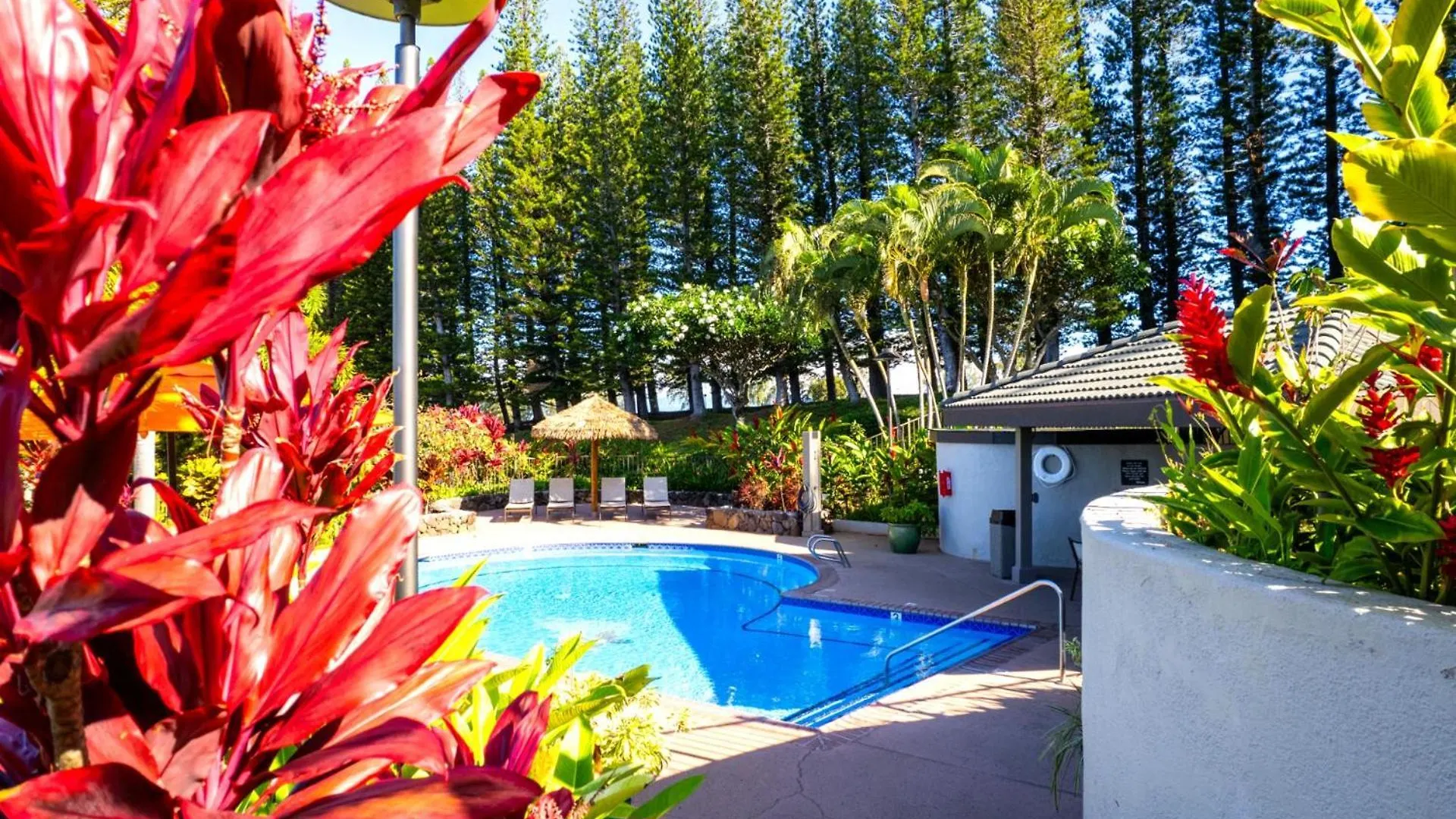 Kbm Resorts Free Car Kapalua Golf Villa Kgv-19T1 Remodeled Ocean Views